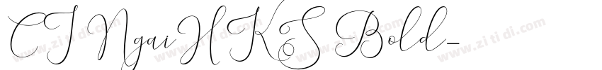 CJNgaiHKS Bold字体转换